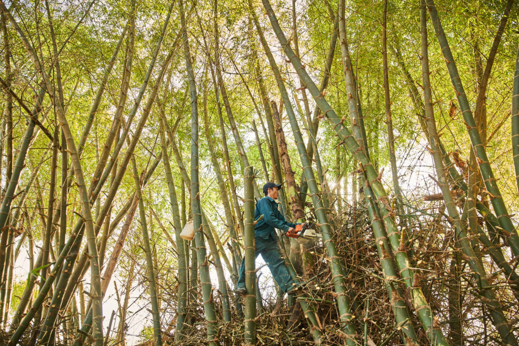 Vietnam Photographer