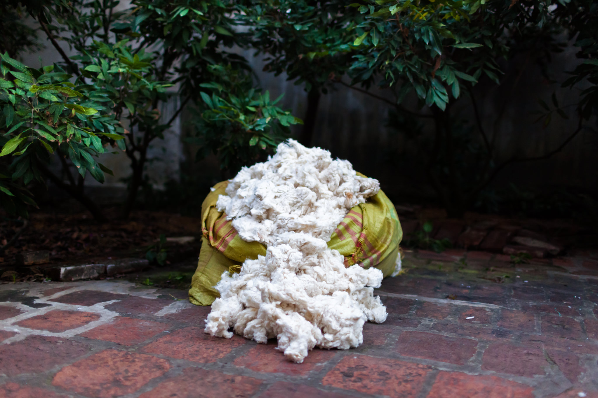 Vietnam Raw Goods Photography