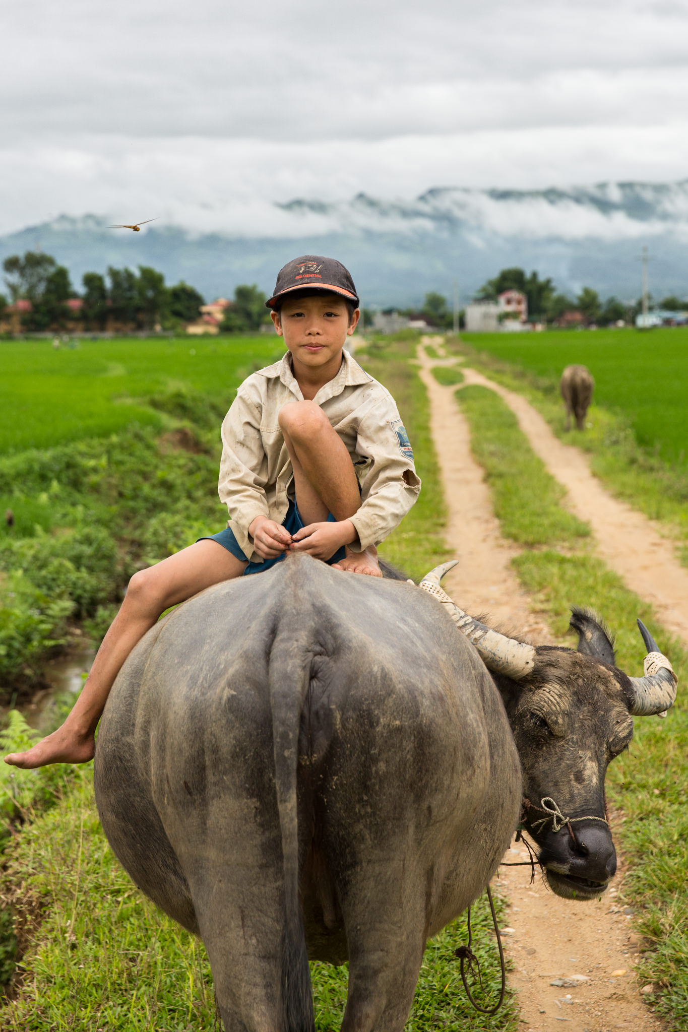 Hanoi Photographer 