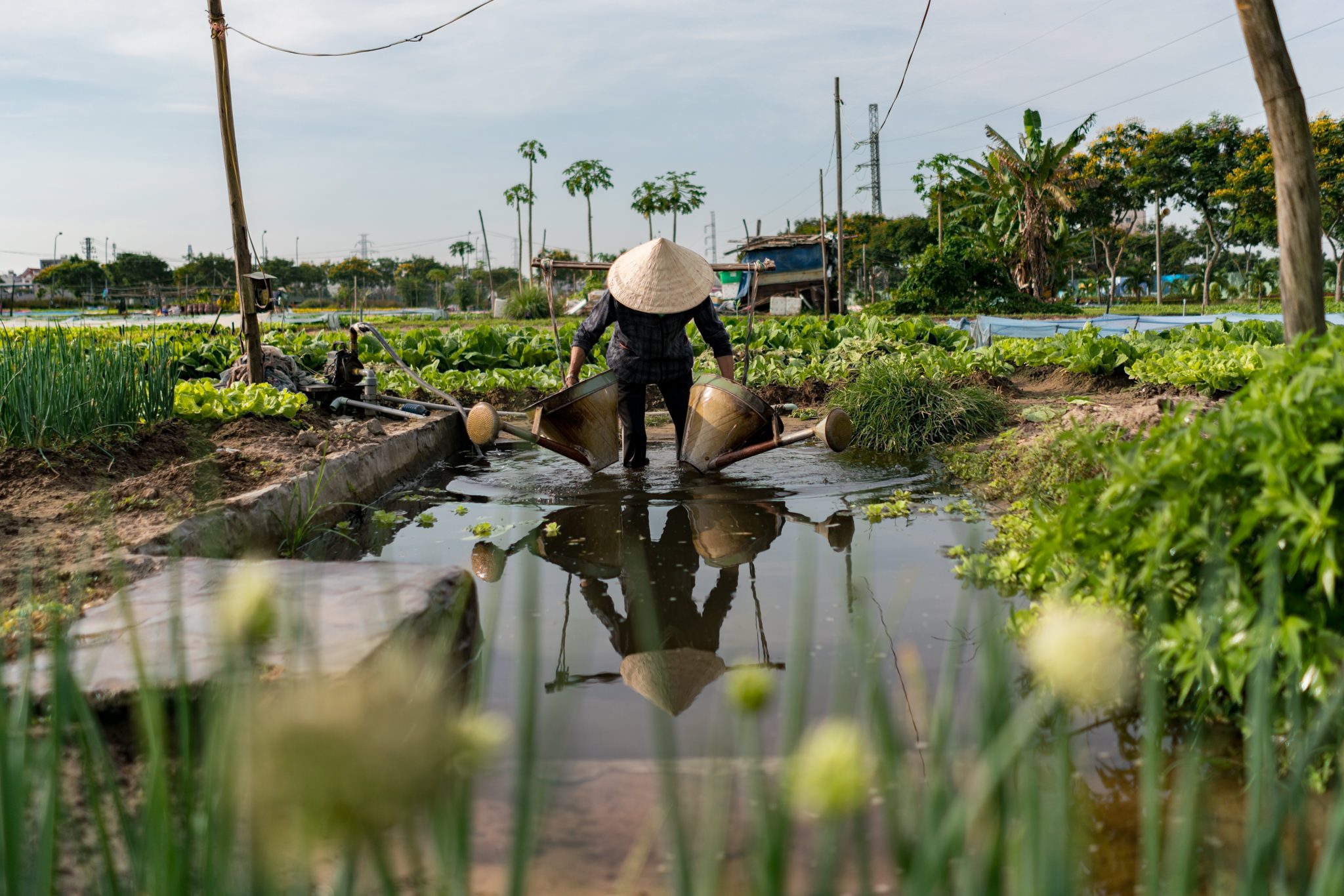 Danang Photographer Ehrin Macksey