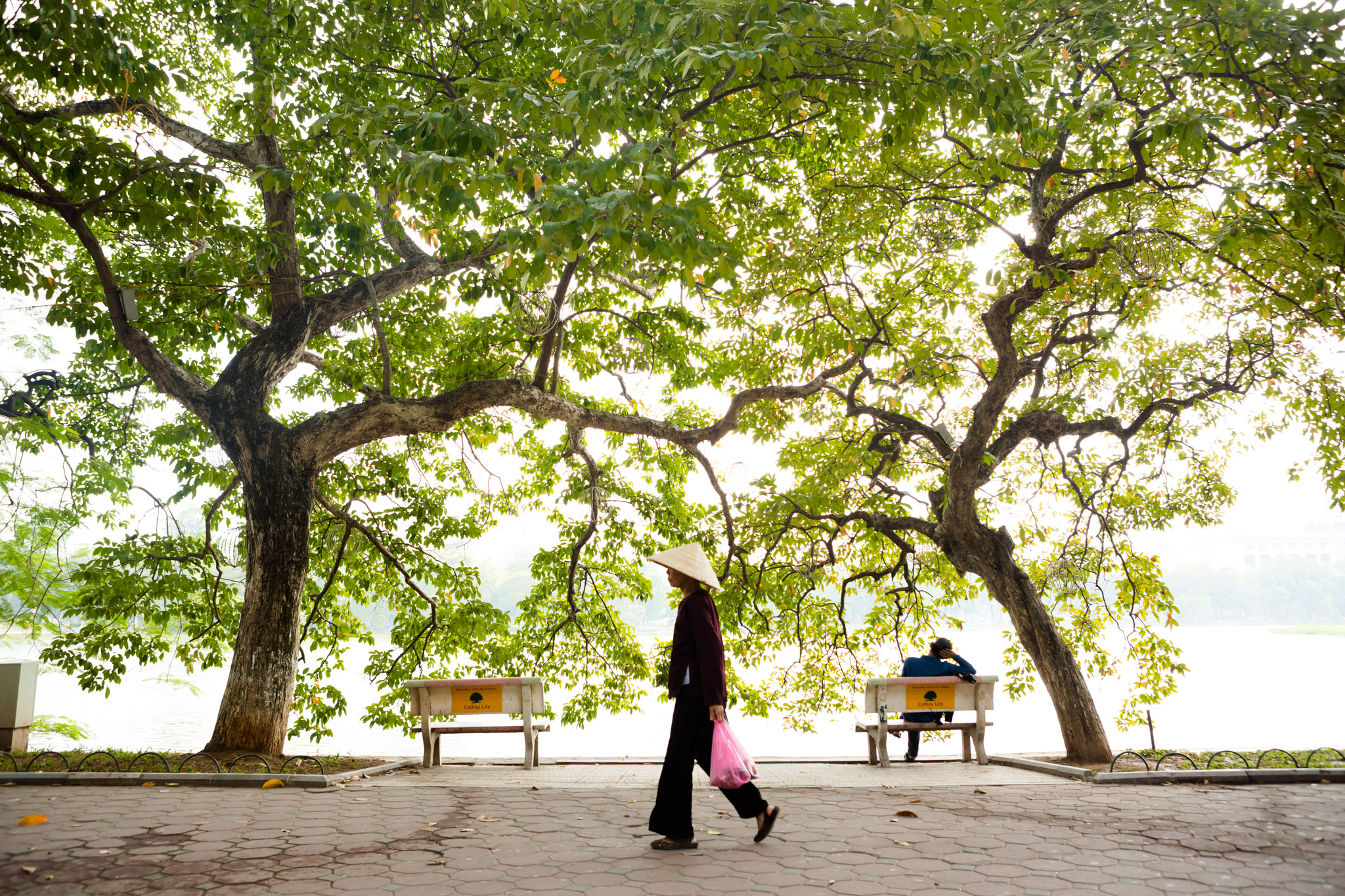Ho Chi Minh City Photographer | Vietnam Photographer