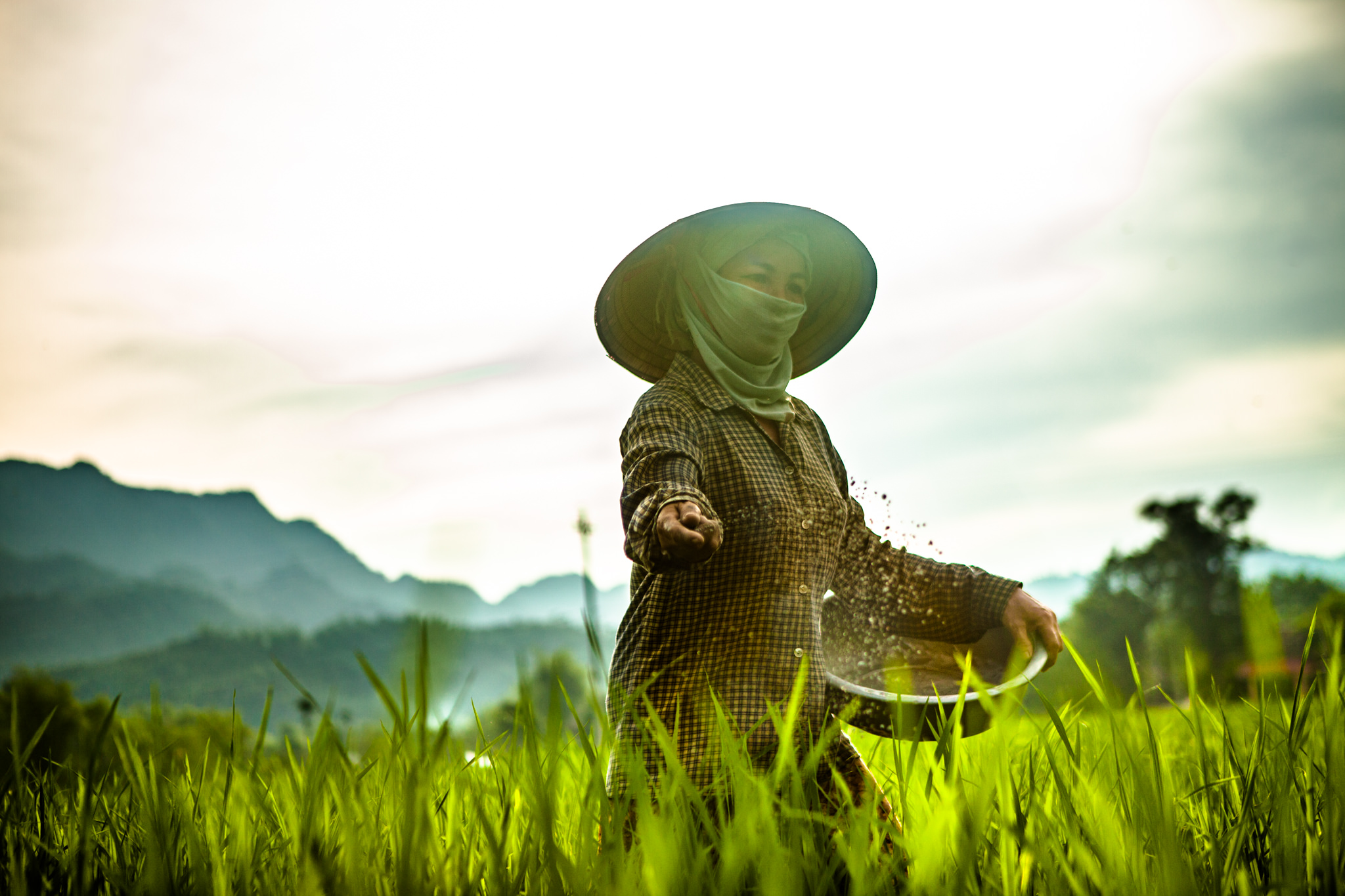 Hoi An Photographer | Danang Photographer