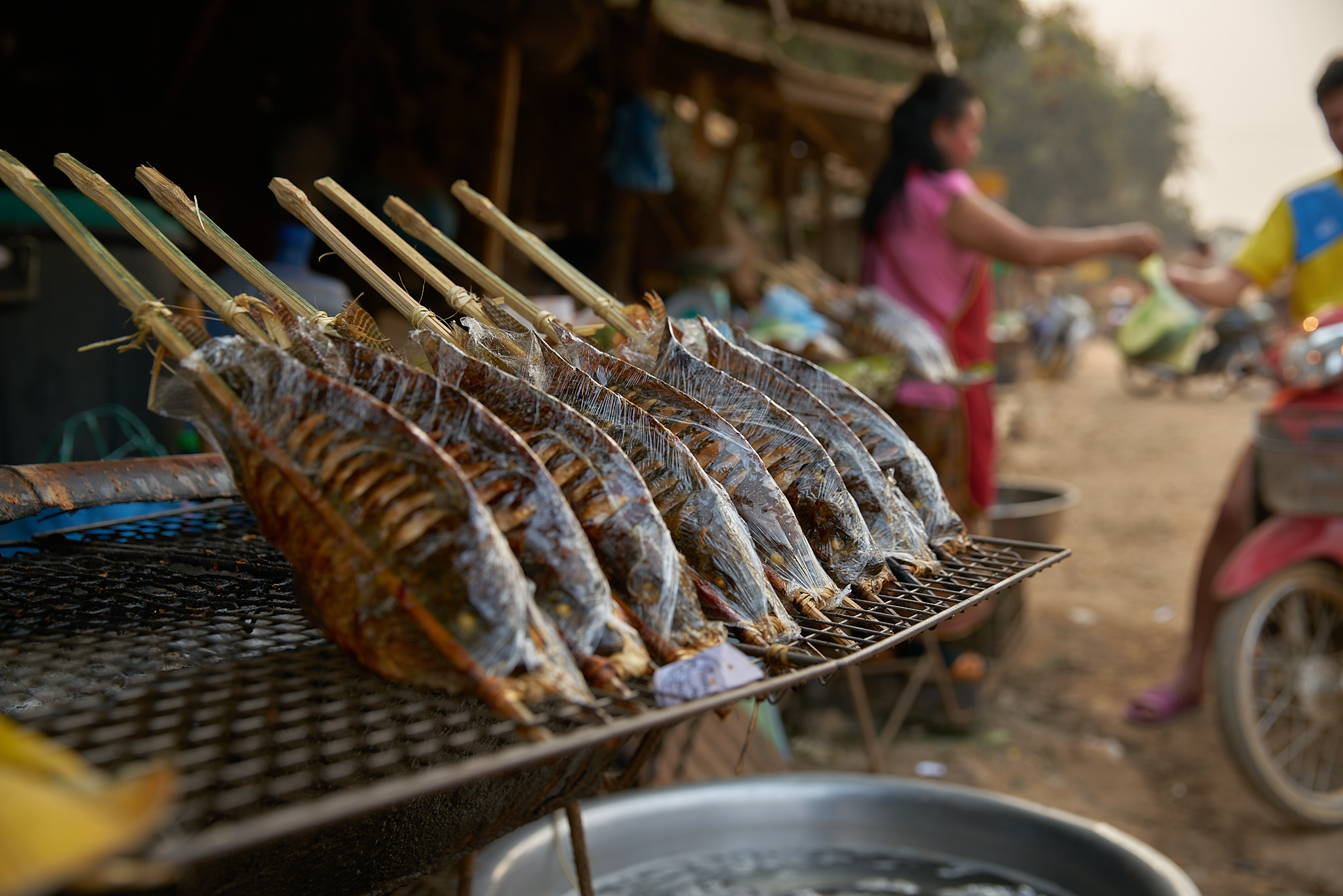 Luang Prabang Photographer | Laos Photographer 