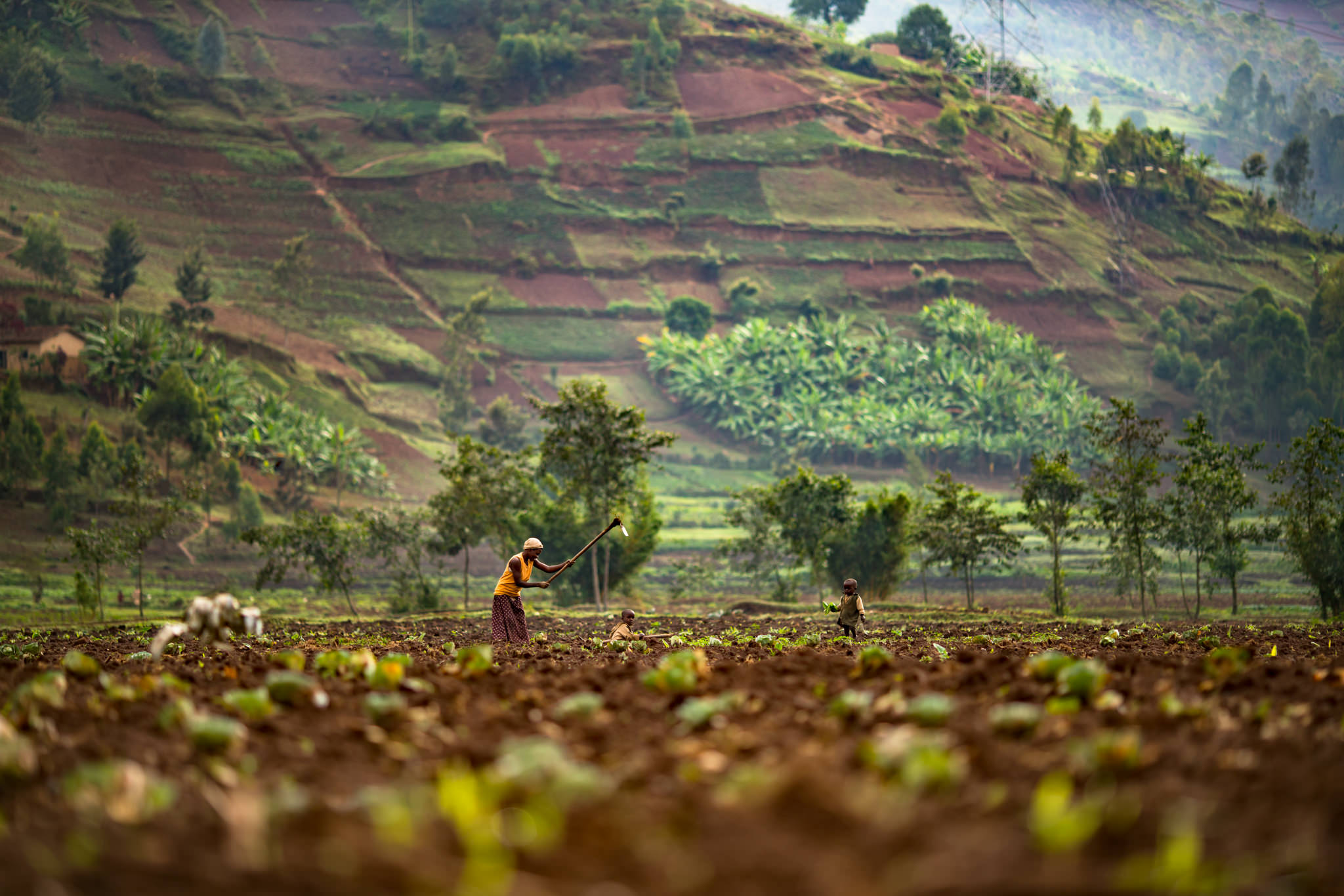 Southeast Asia Photographer