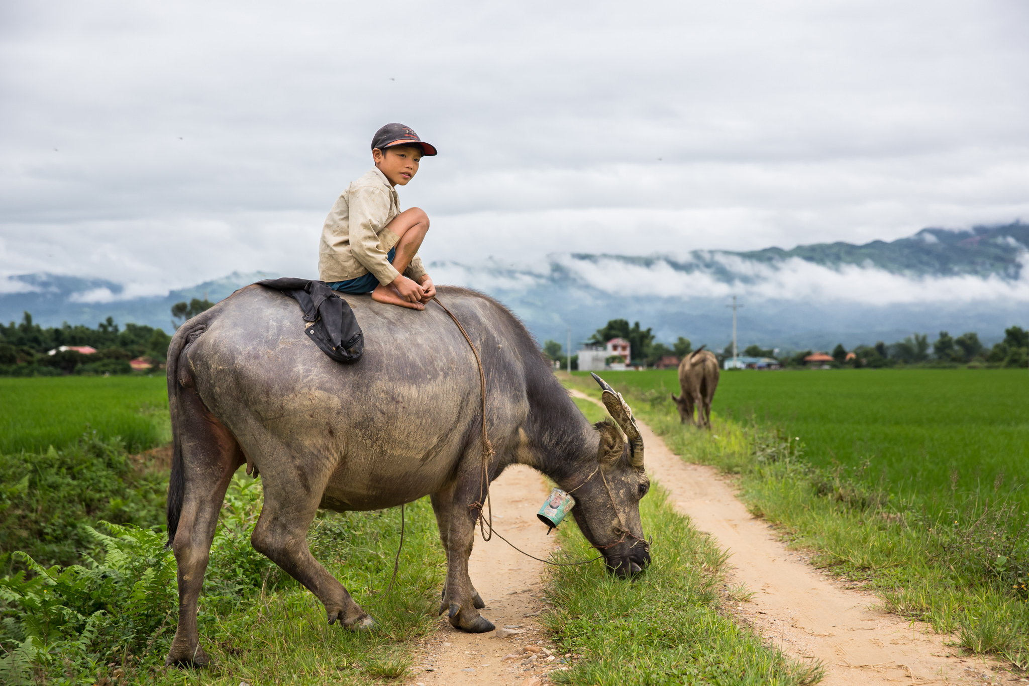 Vietnam Photographer | Hanoi Photographer