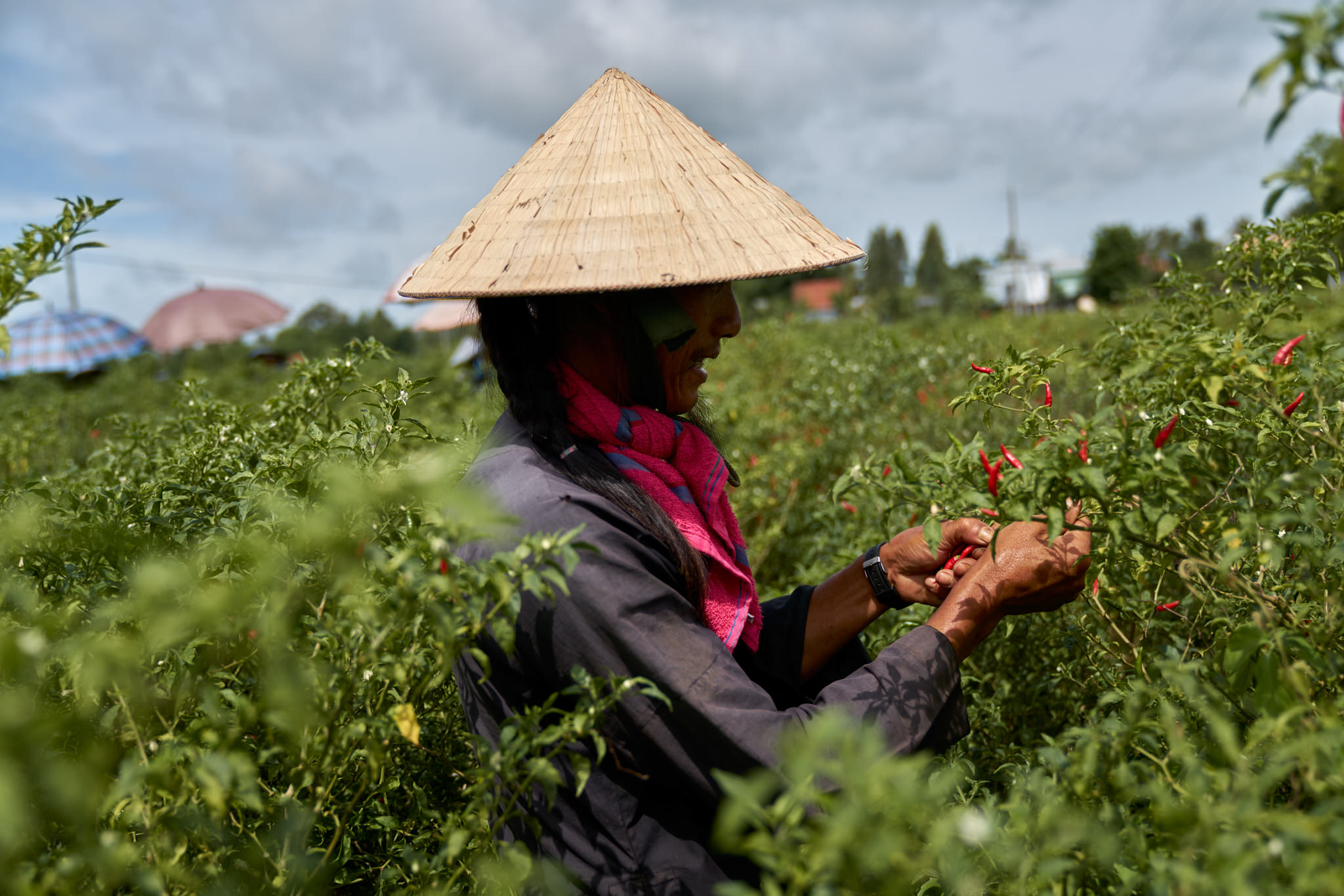 Vietnam Photographer